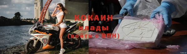 сатива Аркадак