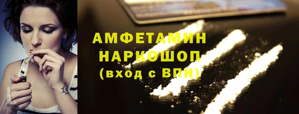 сатива Аркадак