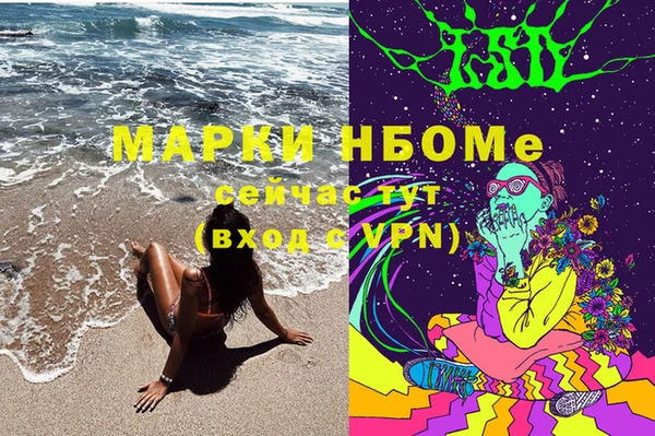 сатива Аркадак