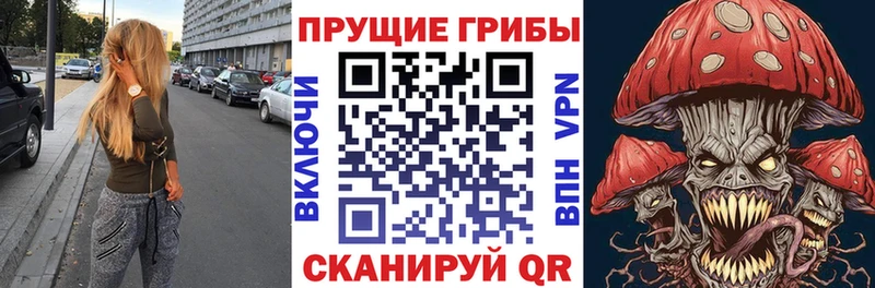 Псилоцибиновые грибы MAGIC MUSHROOMS Ельня