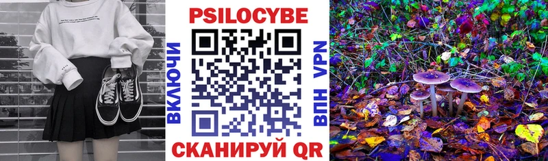 магазин  наркотиков  Ельня  mega рабочий сайт  Псилоцибиновые грибы Cubensis 